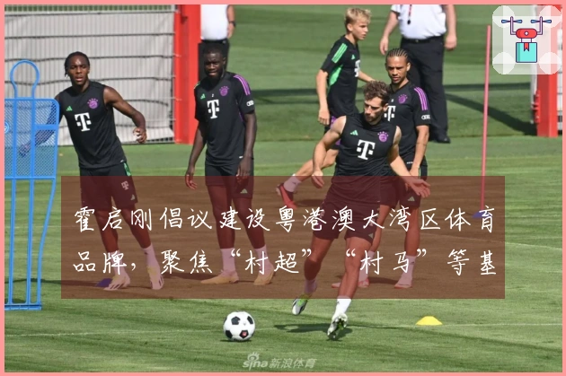 霍启刚倡议建设粤港澳大湾区体育品牌，聚焦“村超”“村马”等基层体育活动